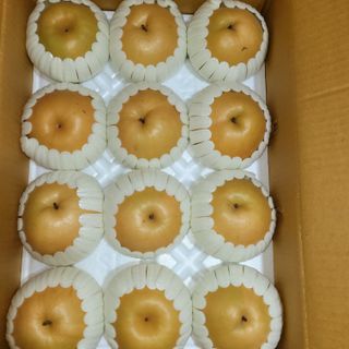 또상농장님의 작성글 사진