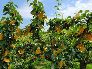 또상농장님의 작성글 사진