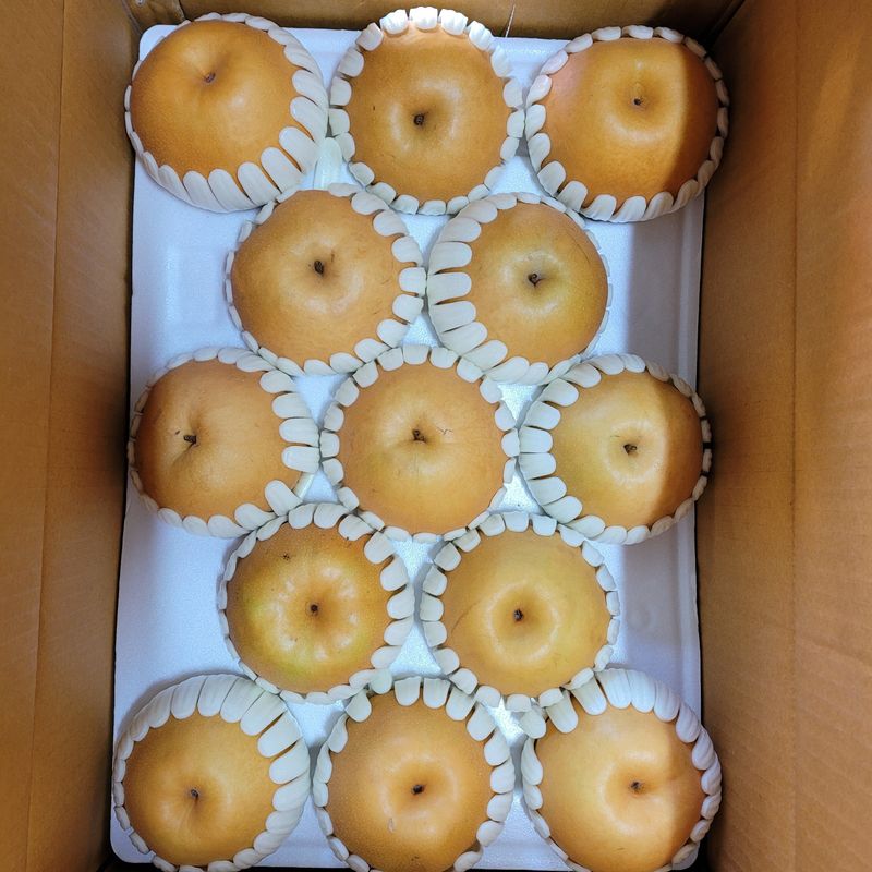 또상농장님의 장터 판매 상품 [함양 신고배7,5kg] 첨부 사진