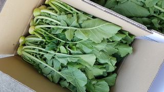 김미현님의 작성글 사진