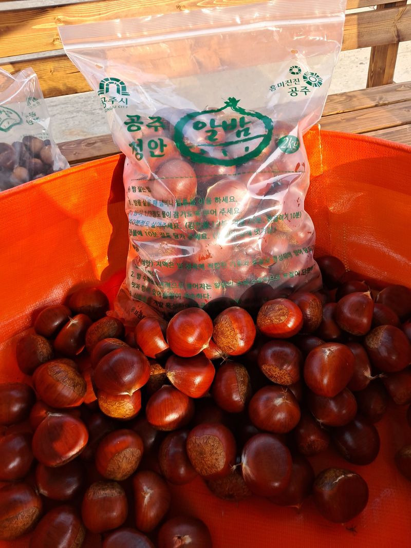 진달래맘님의 장터 판매 상품 [공주 정안밤] 첨부 사진