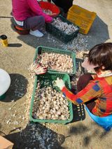 팜모닝 마늘·영농일지 게시글 이미지