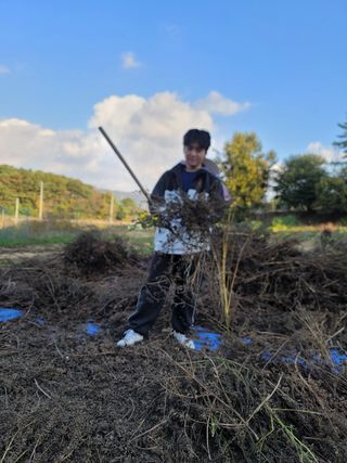 이성우님의 들깨 · 영농일지 작성글 사진