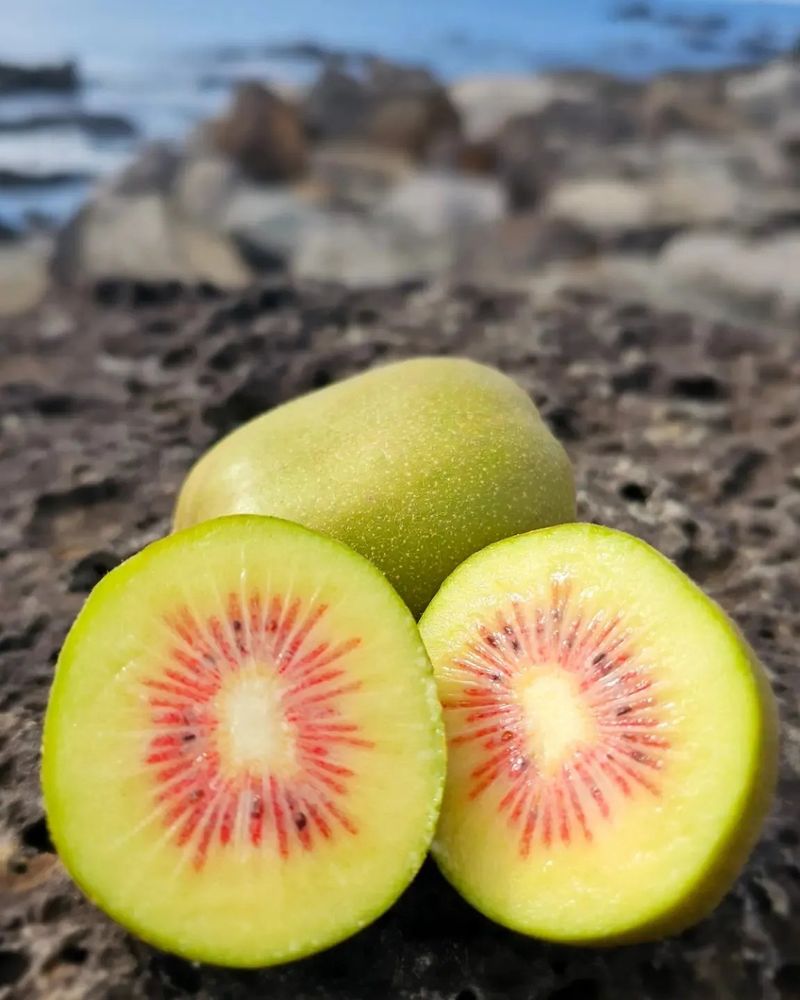 이승철님의 장터 판매 상품 [제주레드키위2.5kg(90g이상)] 첨부 사진