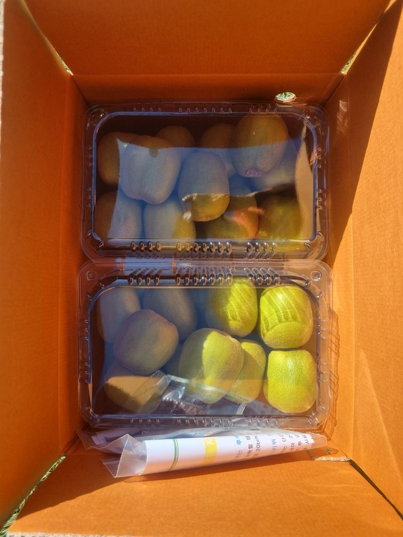 이승철님의 장터 판매 상품 [제주레드키위2.5kg(90g이상)] 첨부 사진