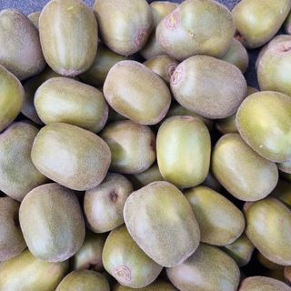 제주농부 님의 11월 내 작물 자랑하기 · 참여글 작성글 사진