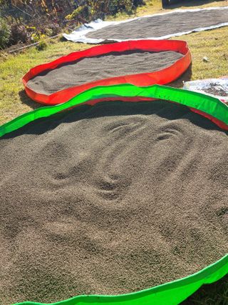 김창환님의 11월 내 작물 자랑하기 · 참여글 작성글 사진