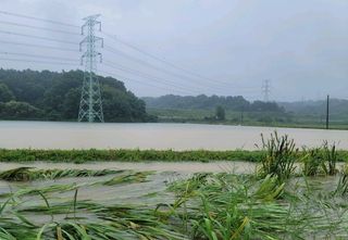 소백산오가피님의 11월 내 작물 자랑하기 · 참여글 작성글 사진