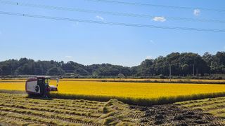 소백산오가피님의 11월 내 작물 자랑하기 · 참여글 작성글 사진