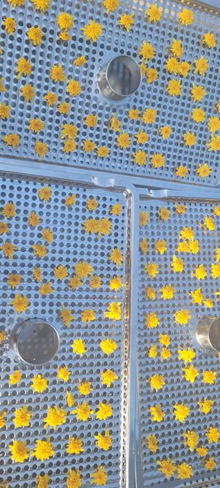 김정은님의 기타작물 · 영농일지 작성글 사진