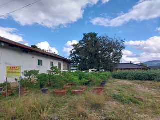 오석한님의 11월 내 작물 자랑하기 · 참여글 작성글 사진