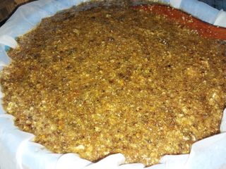 오석한님의 11월 내 작물 자랑하기 · 참여글 작성글 사진