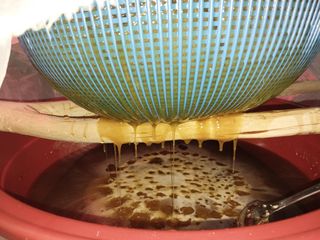 오석한님의 11월 내 작물 자랑하기 · 참여글 작성글 사진