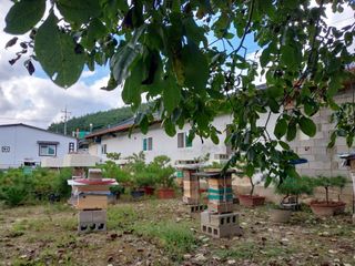 오석한님의 11월 내 작물 자랑하기 · 참여글 작성글 사진