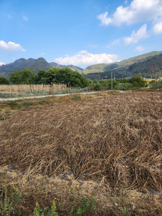 원주청년님의 작성글 사진