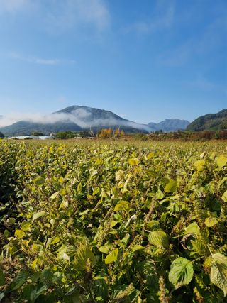 원주청년님의 작성글 사진