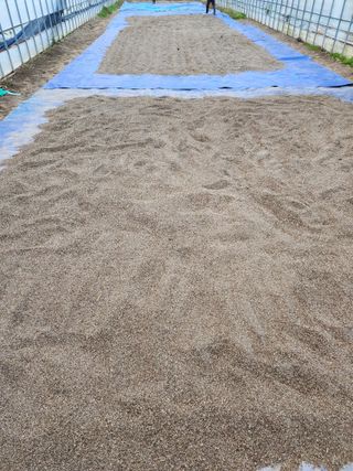 원주청년님의 작성글 사진