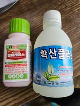 팜모닝 콩·영농일지 게시글 이미지