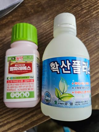 강희상님의 콩 · 영농일지 작성글 사진