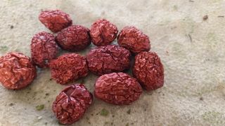 우창농원님의 11월 내 작물 자랑하기 · 참여글 작성글 사진