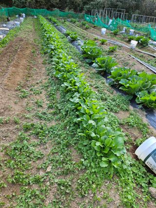 이영재님의 자유주제 · 자유게시판 작성글 사진