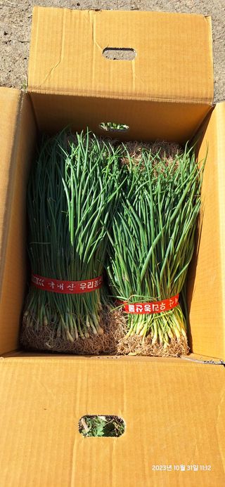 도시농부님의 자유주제 · 자유게시판 작성글 사진