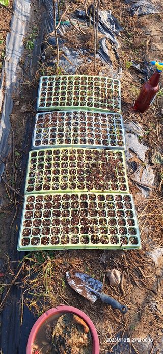 도시농부님의 자유주제 · 자유게시판 작성글 사진