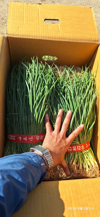 도시농부님의 자유주제 · 자유게시판 작성글 사진