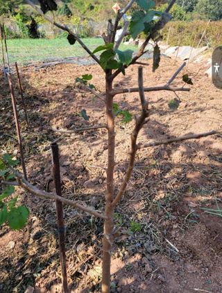 도시농부님의 자유주제 · 자유게시판 작성글 사진