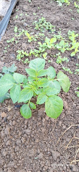 도시농부님의 자유주제 · 자유게시판 작성글 사진