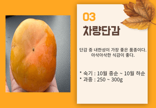 일심묘목농원님의 기타작물 · 자유게시판 작성글 사진