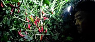 심기섭님의 11월 내 작물 자랑하기 · 참여글 작성글 사진