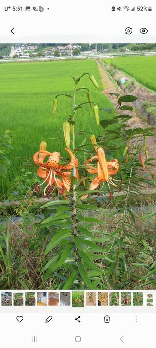 정찬영님의 작성글 사진