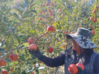 김귀분님의 자유주제 · 자유게시판 작성글 사진