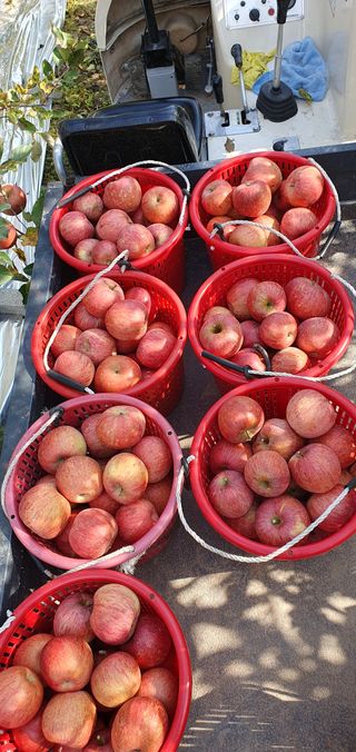 김귀분님의 자유주제 · 자유게시판 작성글 사진