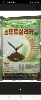 팜모닝 · 게시글 이미지