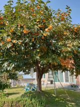 팜모닝 자유주제·자유게시판 게시글 이미지