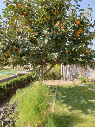 양파5749님의 자유주제 · 자유게시판 작성글 사진