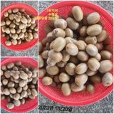 팜모닝 11월 내 작물 자랑하기·참여글 게시글 이미지