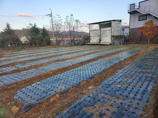 이광재님의 11월 내 작물 자랑하기 · 참여글 작성글 사진