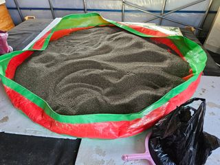 마중물0715님의 11월 내 작물 자랑하기 · 참여글 작성글 사진