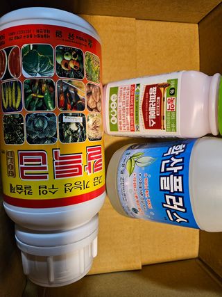 강희상님의 배추 · 영농일지 작성글 사진