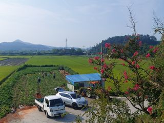 민들레 수연님의 11월 내 작물 자랑하기 · 참여글 작성글 사진