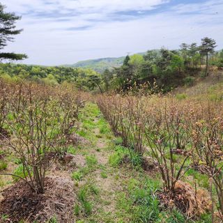 홍승한님의 11월 내 작물 자랑하기 · 참여글 작성글 사진