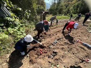 홍승한님의 11월 내 작물 자랑하기 · 참여글 작성글 사진