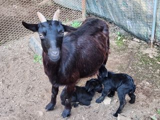 홍승한님의 11월 내 작물 자랑하기 · 참여글 작성글 사진