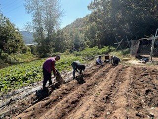 홍승한님의 11월 내 작물 자랑하기 · 참여글 작성글 사진