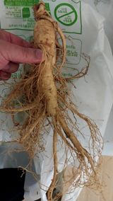 팜모닝 11월 내 작물 자랑하기·참여글 게시글 이미지