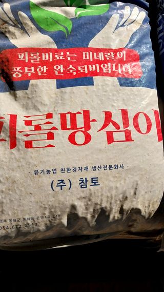 피롤땅지기님의 11월 내 작물 자랑하기 · 참여글 작성글 사진