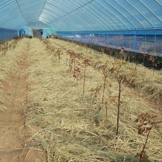 오늘 이순간님의 11월 내 작물 자랑하기 · 참여글 작성글 사진